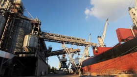 Два украинских судна с зерном прибыли в Италию и Китай